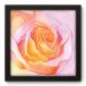 Quadro Decorativo - Flor - 096qdfp