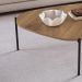 Mesa de Centro Organica Pe Metal Preto Hanover 28014 Artesano