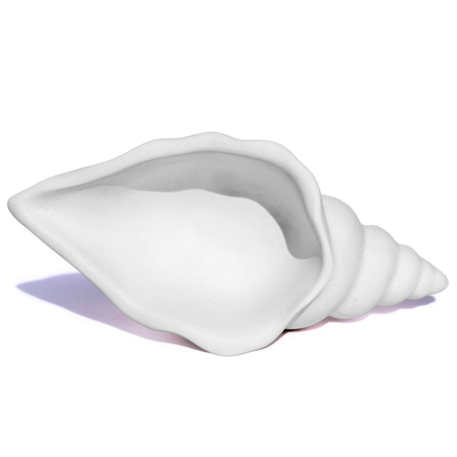 Porta Objetos Artesanal Concha Liso 13cm Em Resina Mineral - Branco