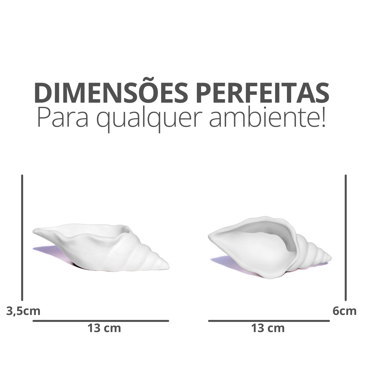 Porta Objetos Artesanal Concha Liso 13cm Em Resina Mineral - Branco
