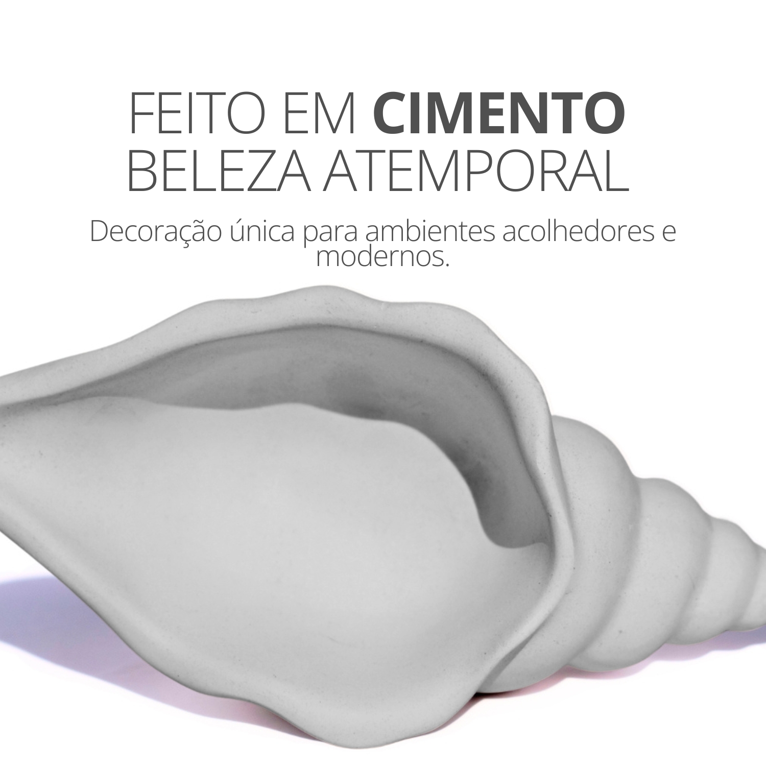 Porta Objetos Artesanal Concha Liso 13cm Em Resina Mineral - Branco