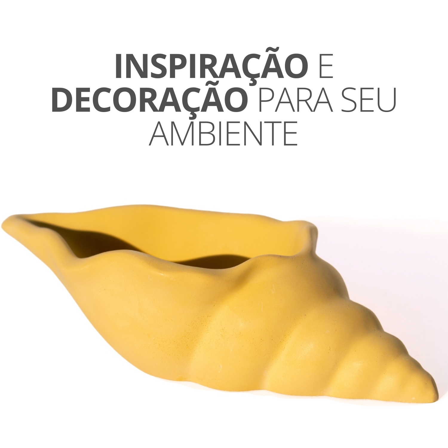 Porta Objetos Artesanal Concha Liso 13cm Em Resina Mineral - Branco