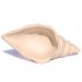 Porta Objetos Artesanal Concha Liso 13cm Em Resina Mineral - Palha