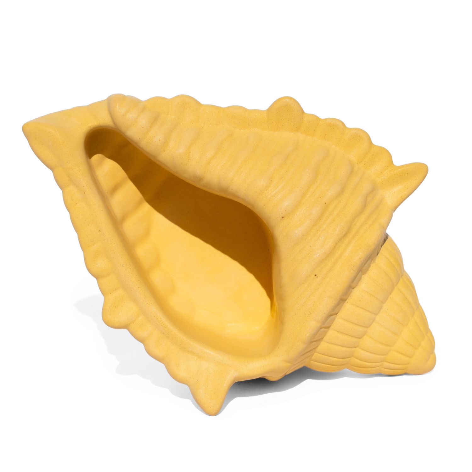 Porta Objetos Concha Oceano Grande Artesanal 17x11,5cm Em Resina Mineral - Amarelo