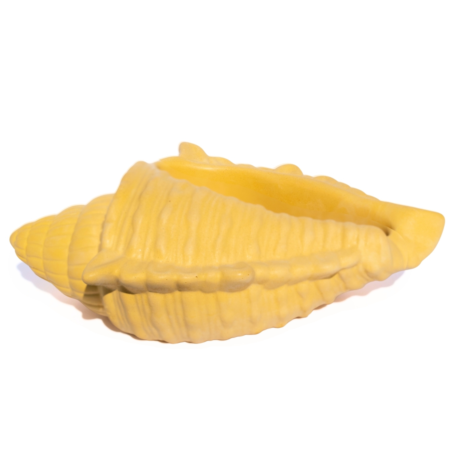 Porta Objetos Concha Oceano Grande Artesanal 17x11,5cm Em Resina Mineral - Amarelo