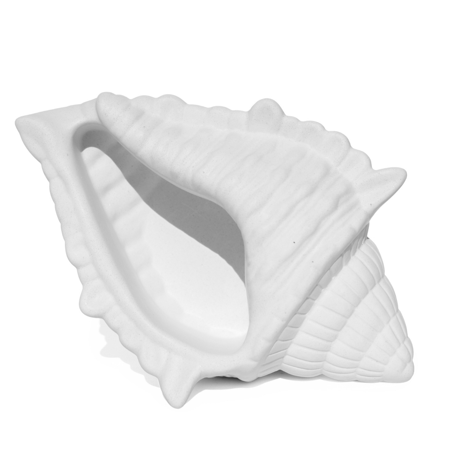 Porta Objetos Concha Oceano Grande Artesanal 17x11,5cm Em Resina Mineral - Branco