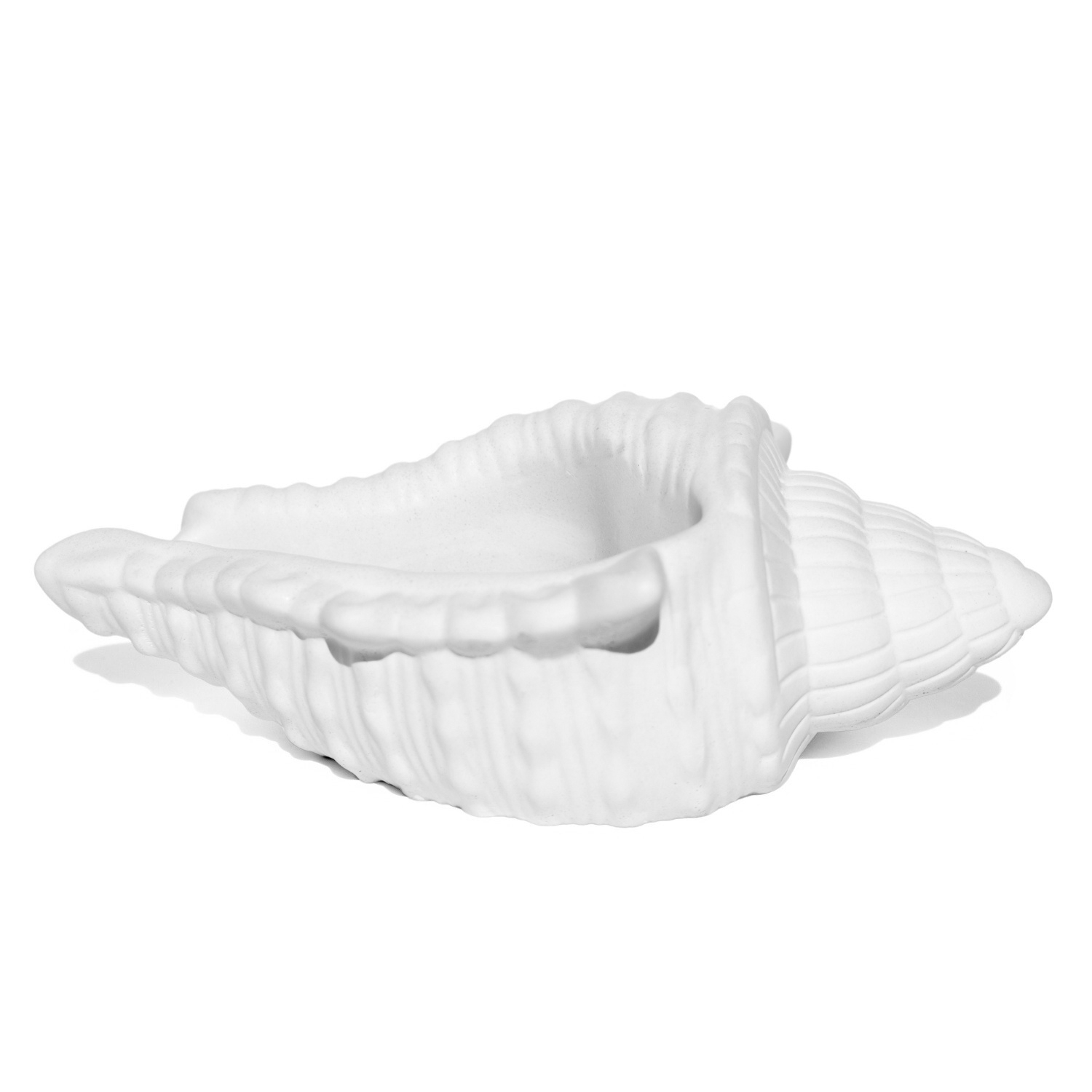 Porta Objetos Concha Oceano Grande Artesanal 17x11,5cm Em Resina Mineral - Branco