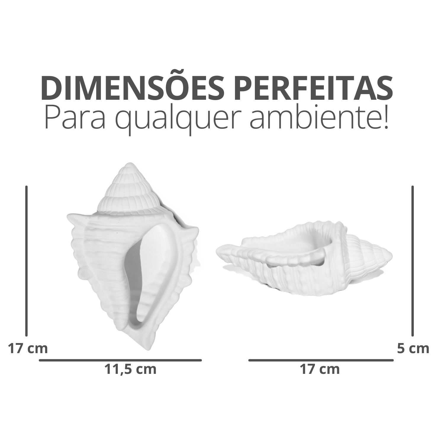 Porta Objetos Concha Oceano Grande Artesanal 17x11,5cm Em Resina Mineral - Branco