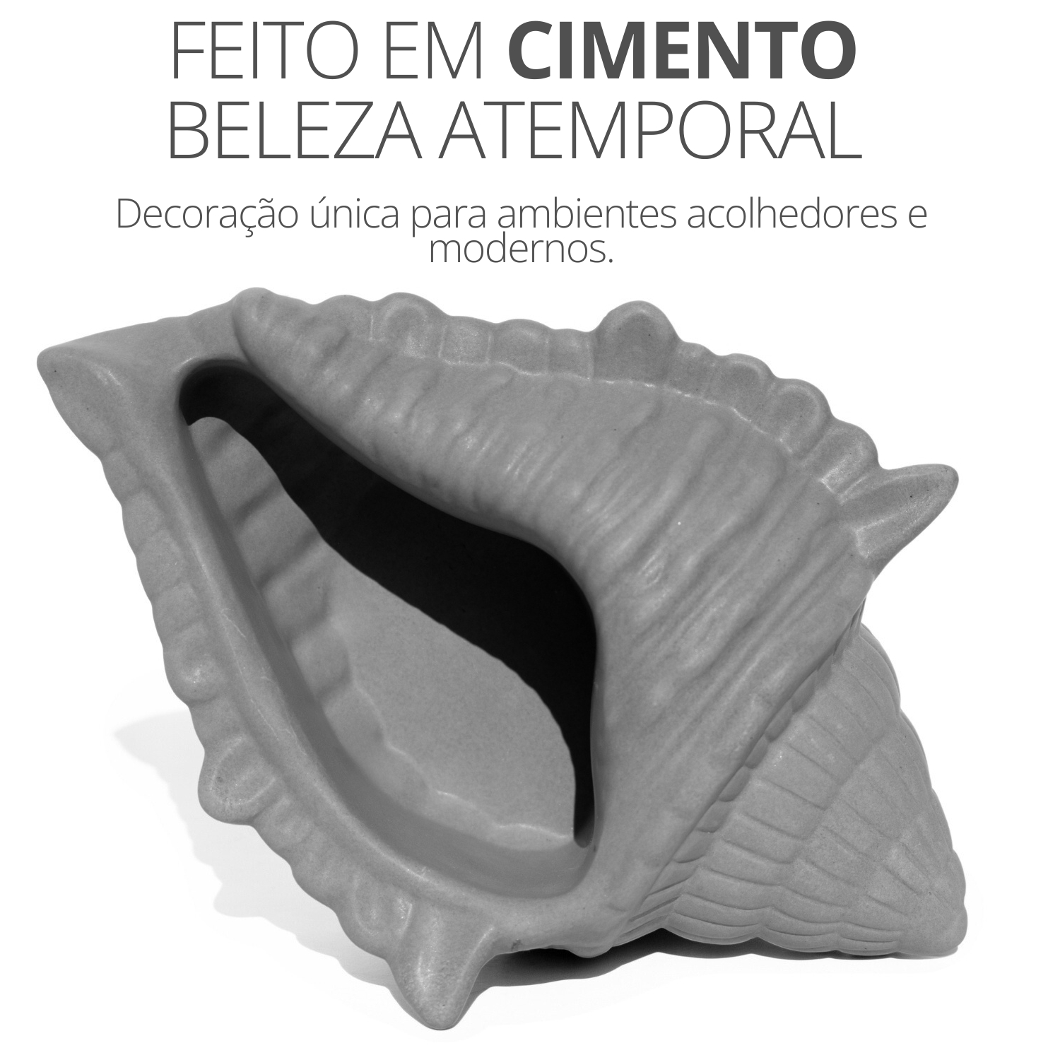 Porta Objetos Concha Oceano Grande Artesanal 17x11,5cm Em Resina Mineral - Branco