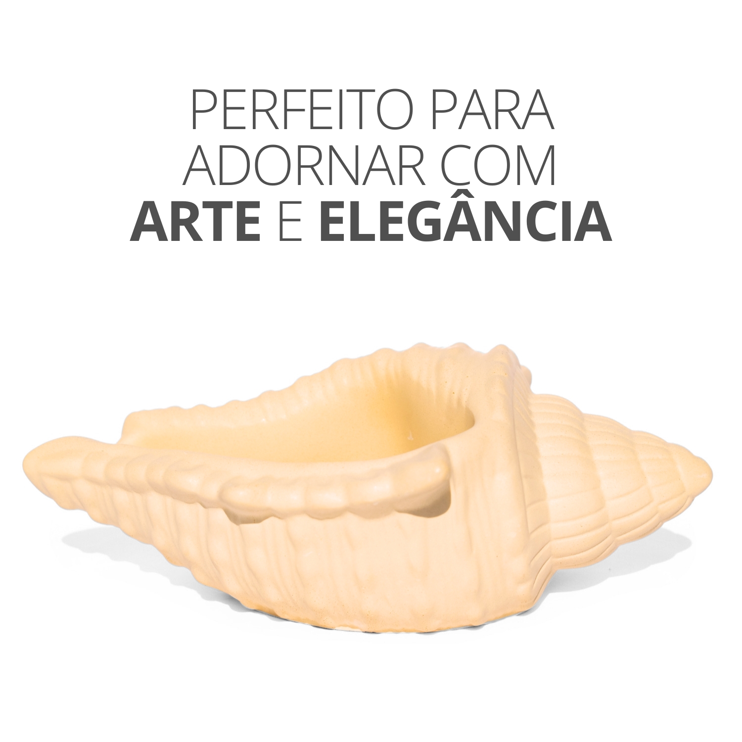 Porta Objetos Concha Oceano Grande Artesanal 17x11,5cm Em Resina Mineral - Branco