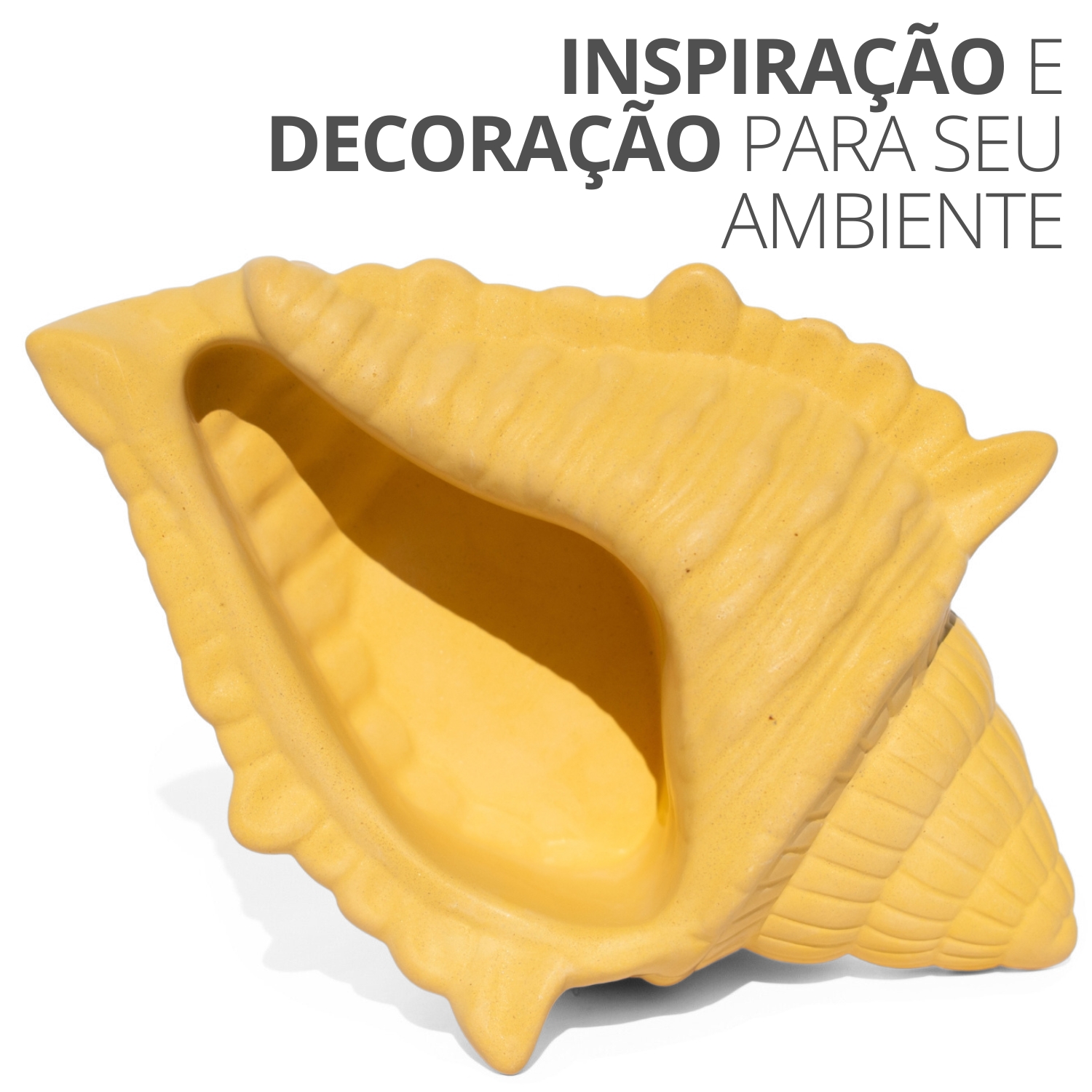 Porta Objetos Concha Oceano Grande Artesanal 17x11,5cm Em Resina Mineral - Branco