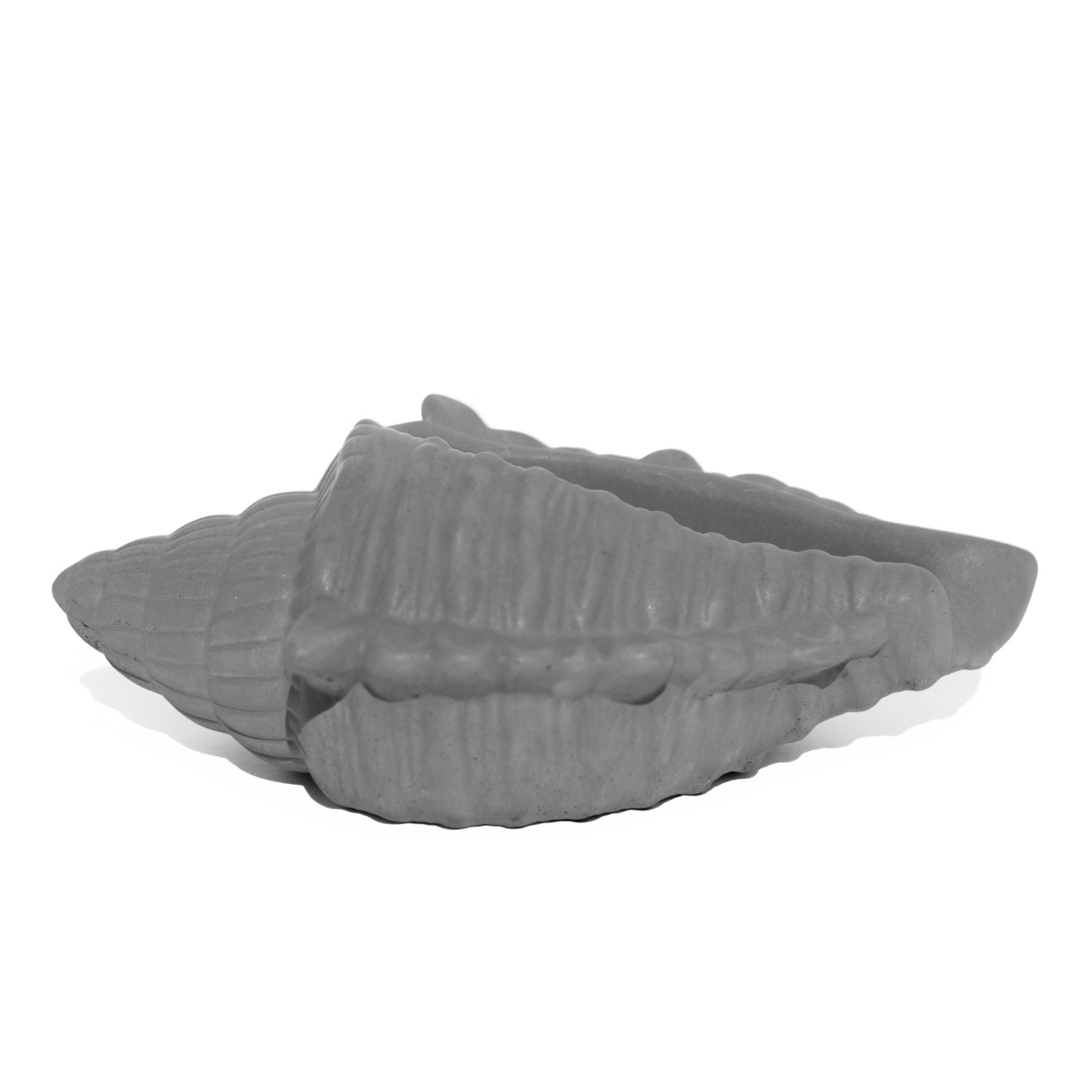 Porta Objetos Concha Oceano Grande Artesanal 17x11,5cm Em Resina Mineral - Cinza