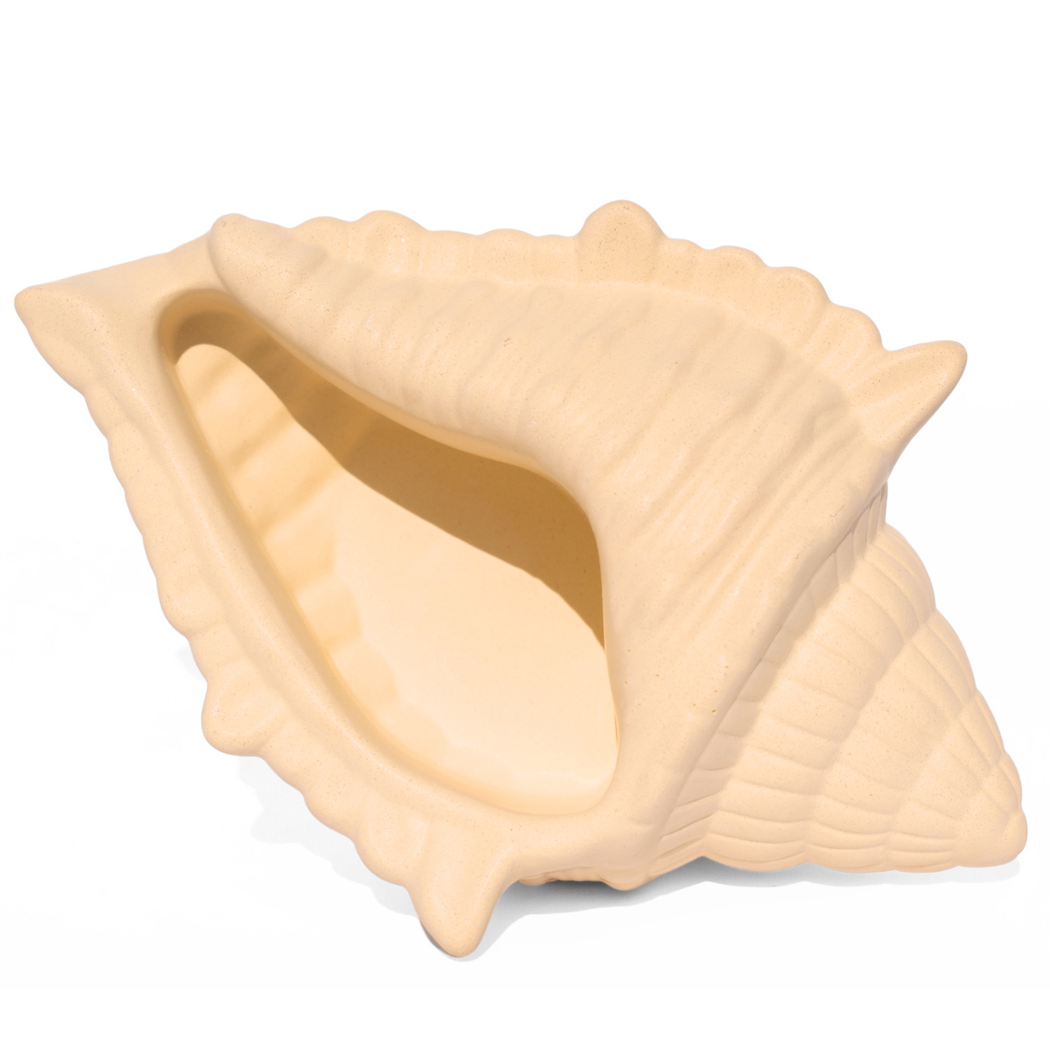 Porta Objetos Concha Oceano Grande Artesanal 17x11,5cm Em Resina Mineral - Palha
