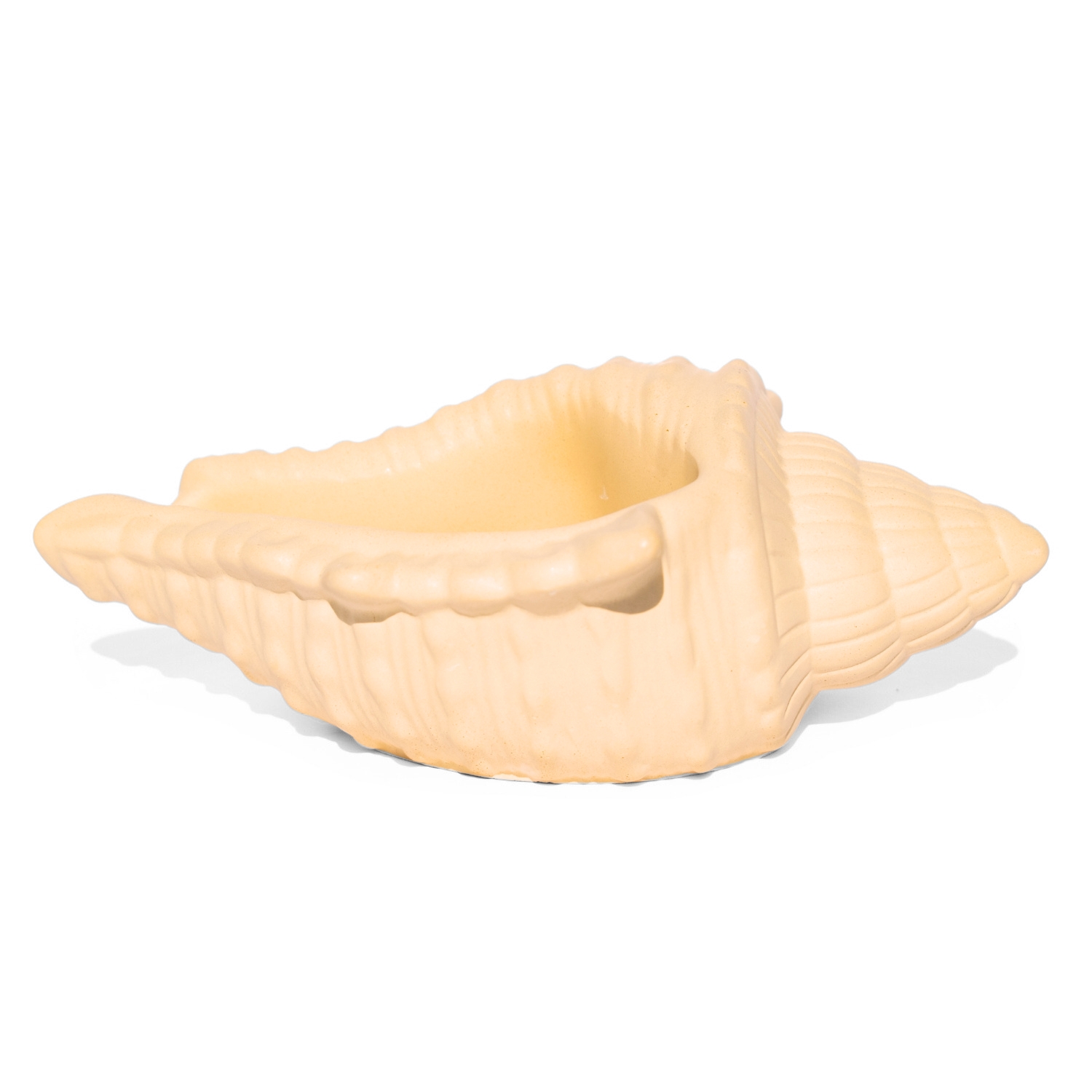 Porta Objetos Concha Oceano Grande Artesanal 17x11,5cm Em Resina Mineral - Palha