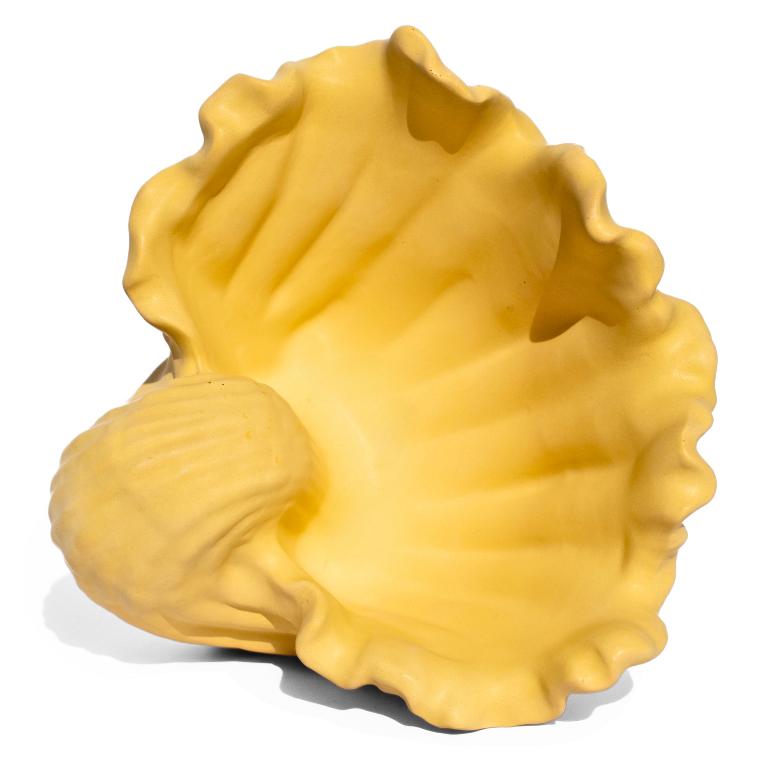 Porta Objetos Concha Pérola Grande Artesanal 13,5x6,5x13cm Em Resina Mineral - Amarelo