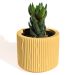 Vaso Decorativo Contemporâneo 7cm Em Cimento Artesanal  - Amarelo