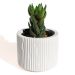 Vaso Decorativo Contemporâneo 7cm Em Cimento Artesanal  - Branco