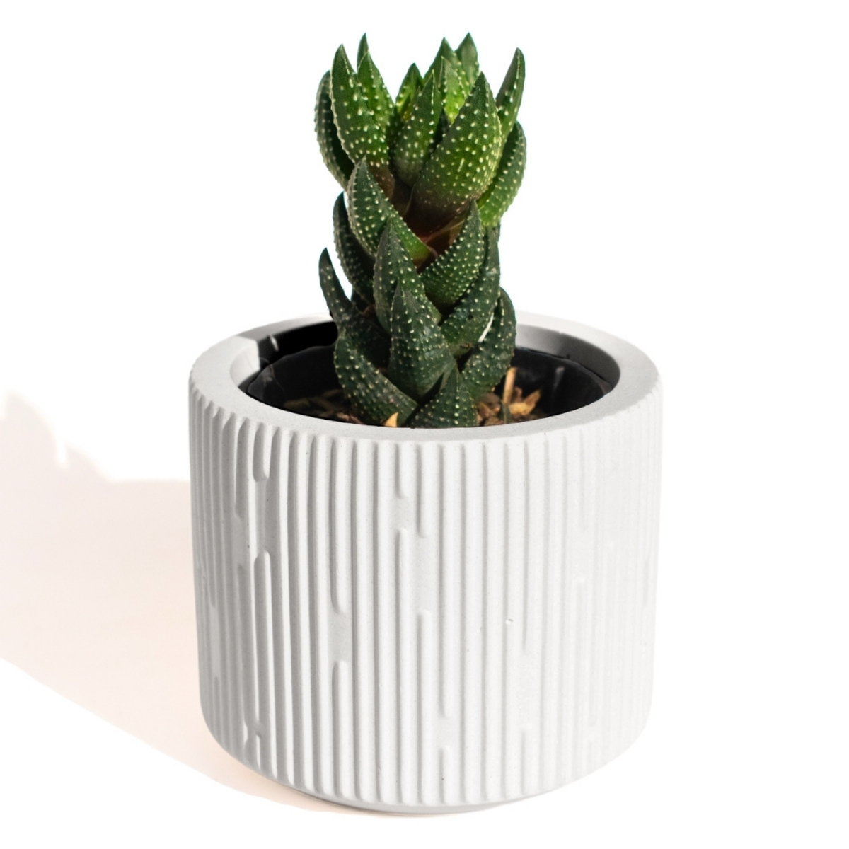 Vaso Decorativo Contemporâneo 7cm Em Cimento Artesanal  - Branco