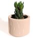Vaso Decorativo Contemporâneo 7cm Em Cimento Artesanal  - Palha