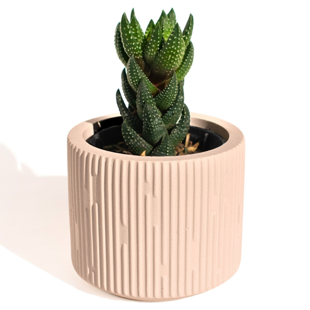 Vaso Decorativo Contemporâneo 7cm Em Cimento Artesanal  - Palha
