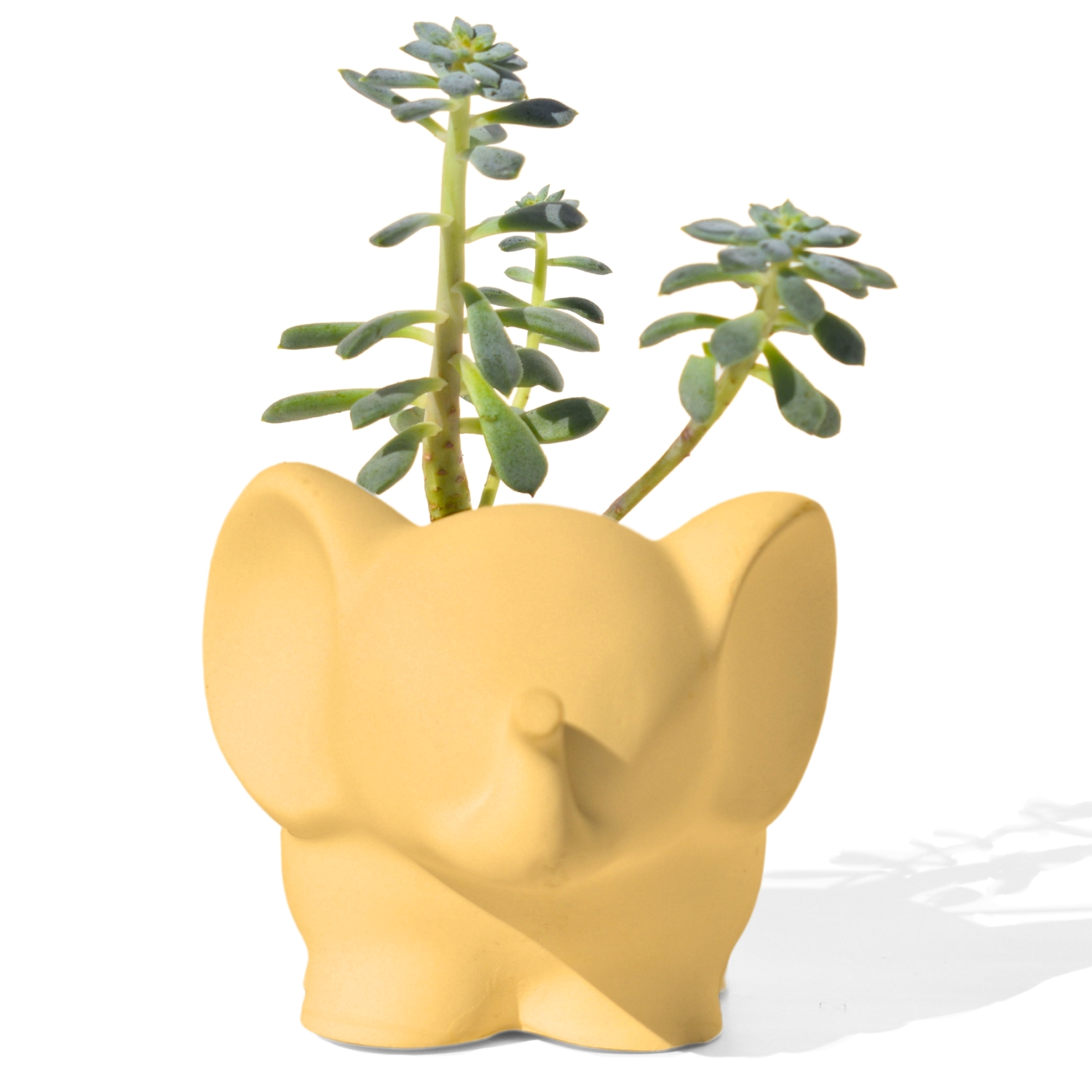 Vaso Decorativo Elefante 12cm Cimento Artesanal - Amarelo