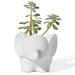 Vaso Decorativo Elefante 12cm Cimento Artesanal - Branco