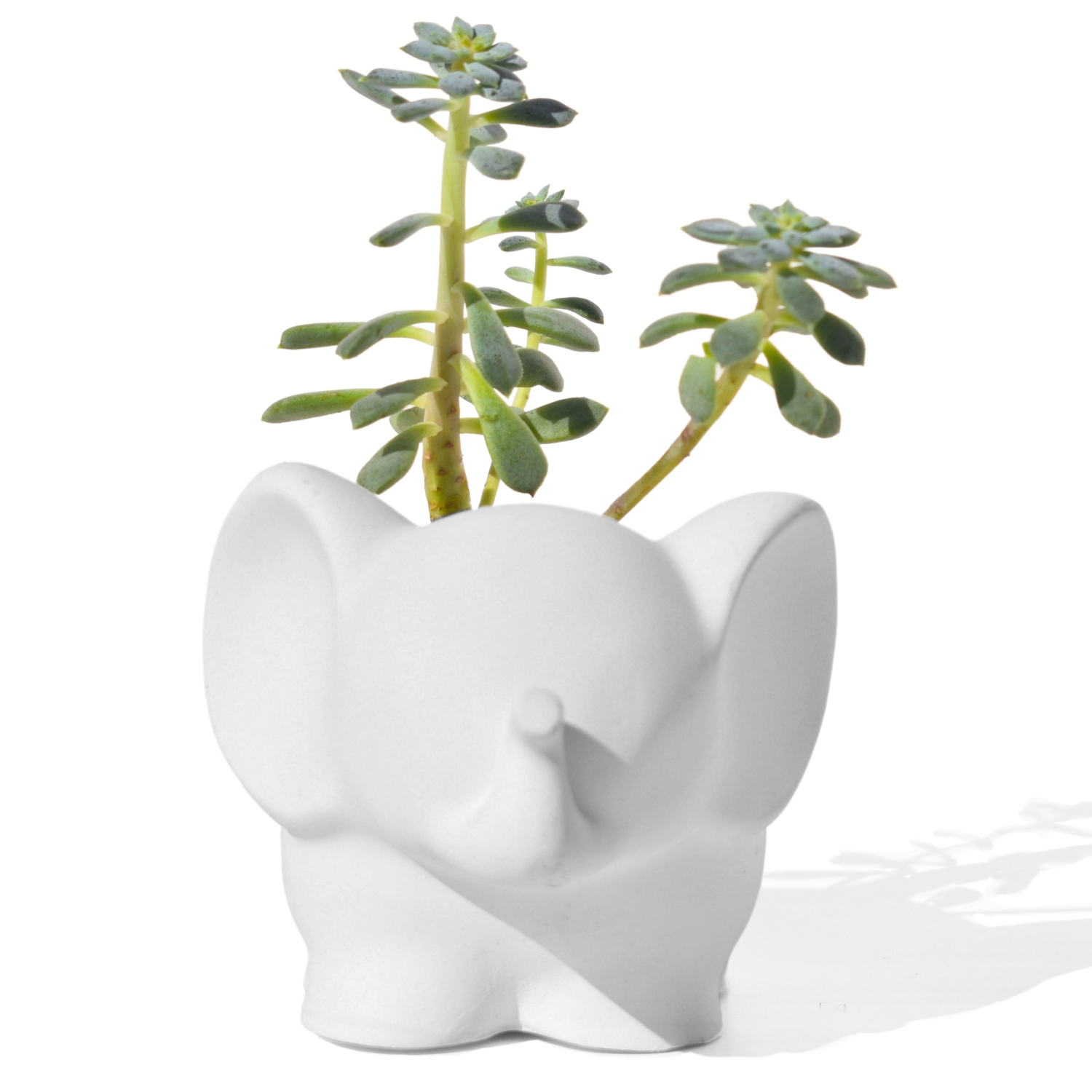 Vaso Decorativo Elefante 12cm Cimento Artesanal - Branco