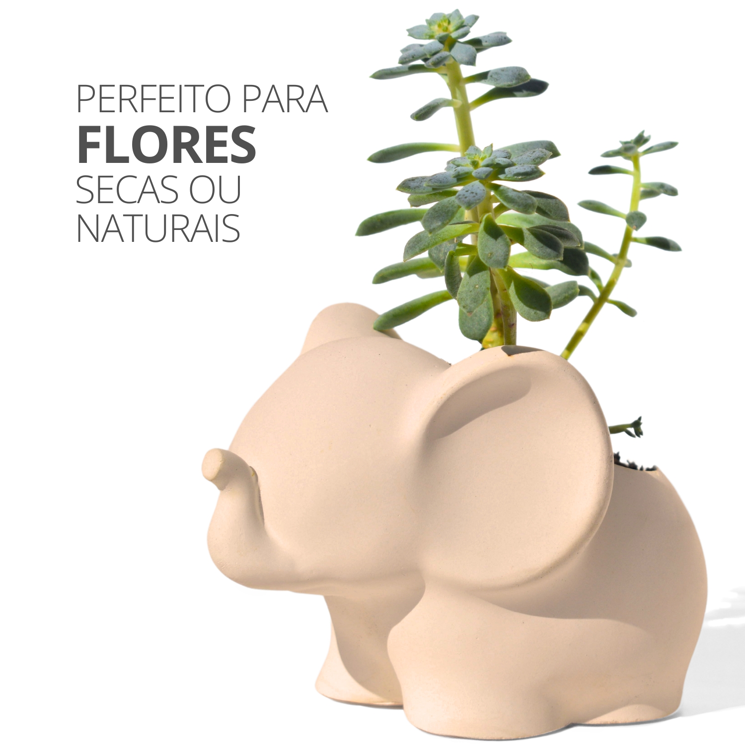 Vaso Decorativo Elefante 12cm Cimento Artesanal - Palha