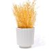 Vaso Decorativo Garrafa Grécia 9,5cm Cimento Artesanal - Branco