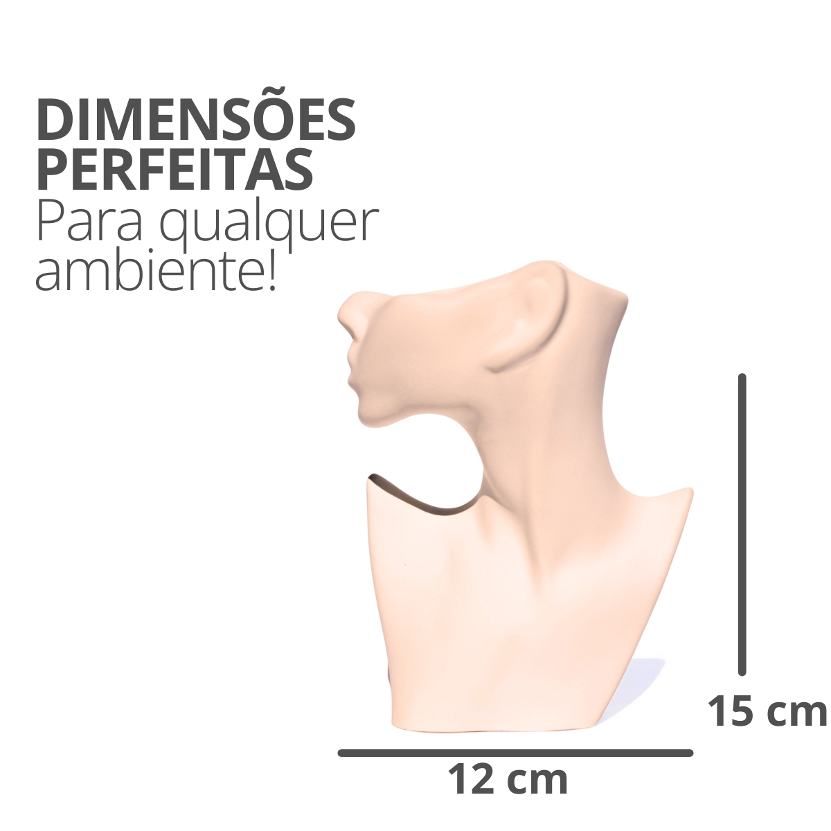 Vaso Decorativo Perfil Rosto Artesanal Decoração Sala e Casa - Palha