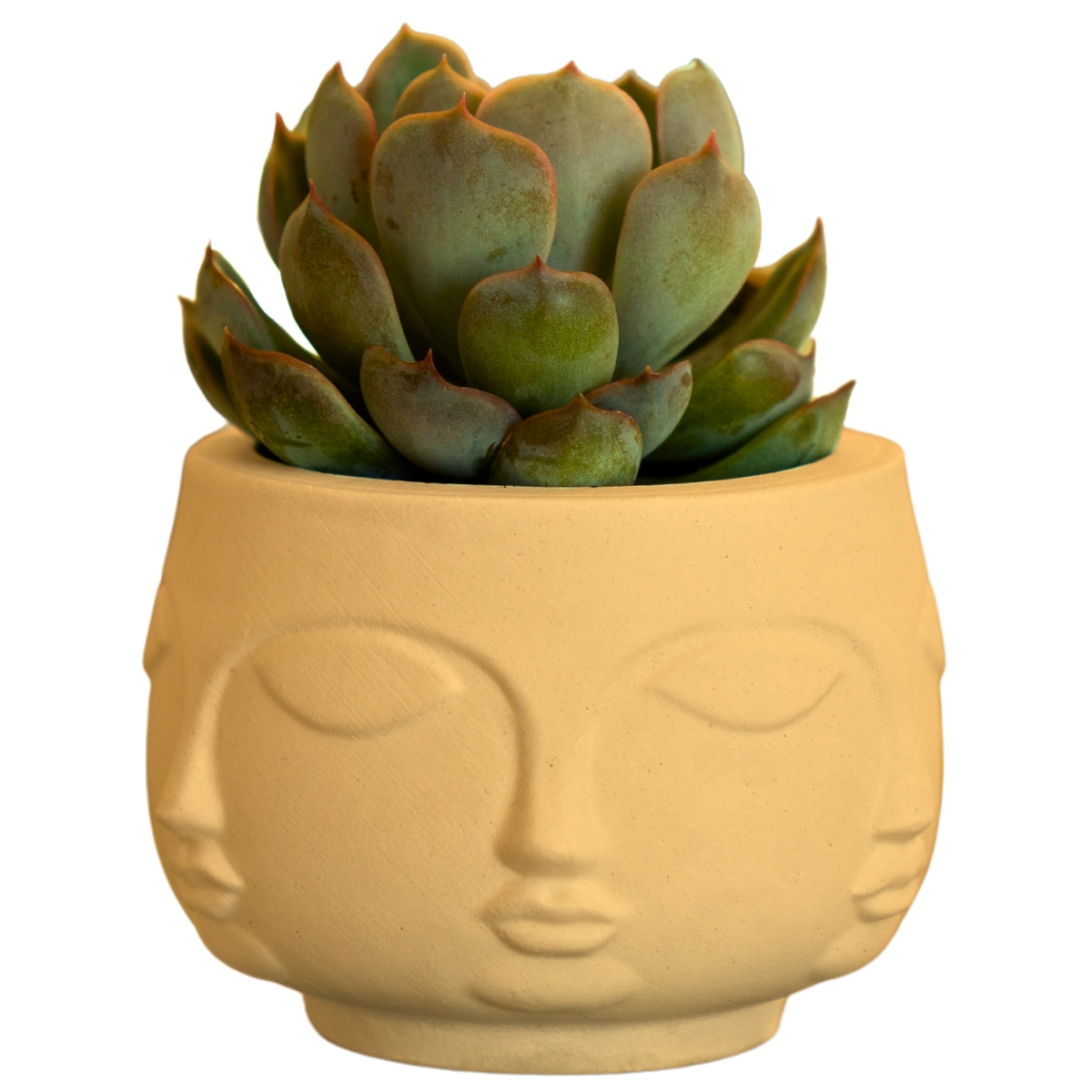Vaso Decorativo Tarsila 10cm Artesanal Em Cimento - Amarelo