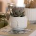 Vaso Decorativo Tarsila 10cm Artesanal Em Cimento - Branco