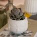 Vaso Decorativo Tarsila 10cm Artesanal Em Cimento - Branco