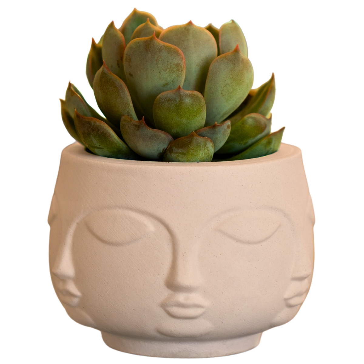 Vaso Decorativo Tarsila 10cm Artesanal Em Cimento - Palha