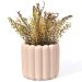Vaso Decorativo Tulipa 8cm Artesanal em Cimento - Palha