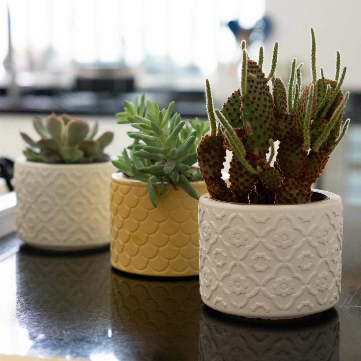Vaso Estados Artesanal Decor 10cm Rio de Janeiro em Cimento - Cinza