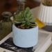 Vaso Estados Artesanal Decorativo 10cm Amazonas em Cimento - Cinza