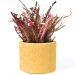 Vaso Estados Artesanal Decorativo 10cm Bahia em Cimento - Amarelo