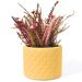Vaso Estados Artesanal Decorativo 10cm São Paulo em Cimento - Amarelo