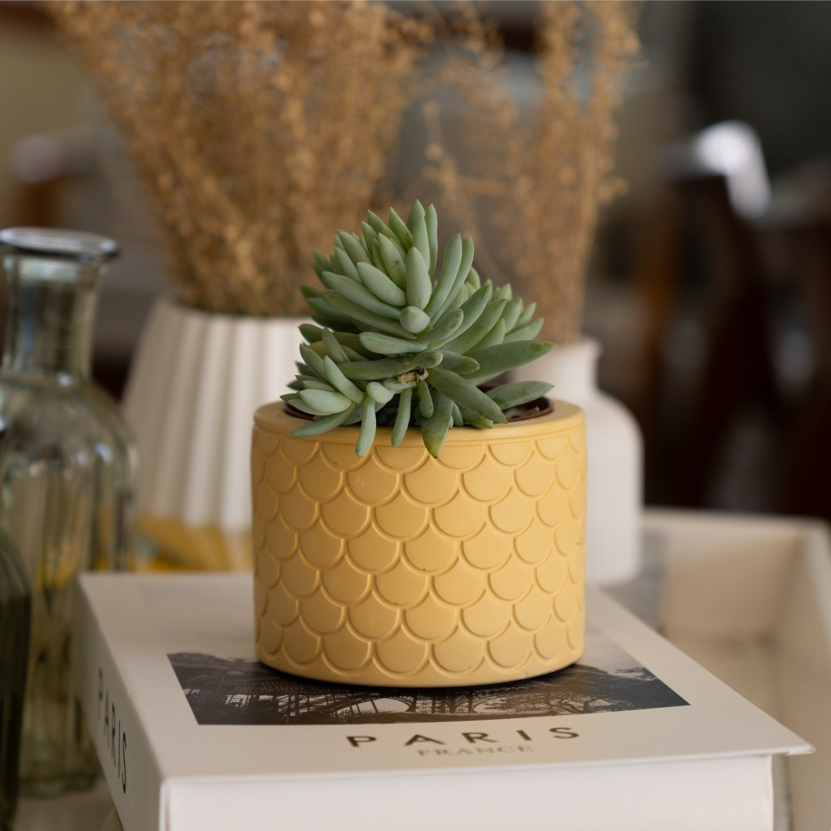 Vaso Estados Artesanal Decorativo 10cm São Paulo em Cimento - Branco