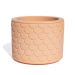 Vaso Estados Artesanal Decorativo 10cm São Paulo em Cimento - Laranja