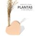 Vaso Solitário Hidropônico Coração Sólido 16,5cm em Cimento - Branco