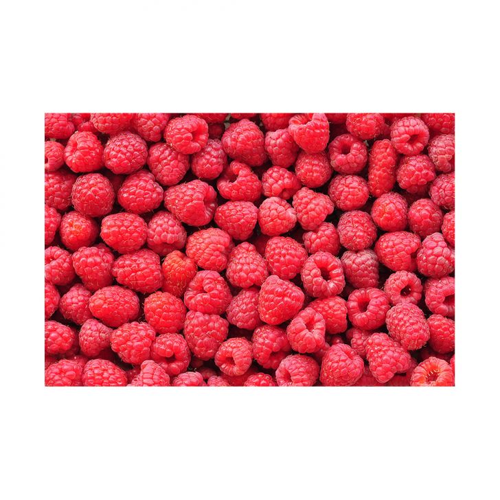 //static.mobly.com.br/p/Allodi-Painel-Adesivo-de-Parede---Raspberries---509pn-G-7664-954362-1-zoom.jpg