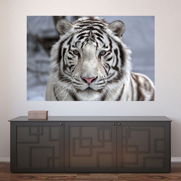 Adesivo Para Box De Banheiro 3d Tigre Branco Largura Total Até