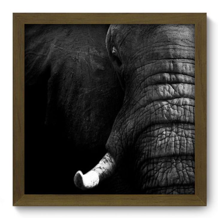 //static.mobly.com.br/p/Allodi-Quadro-Decorativo---Elefante---016qdsm-1535-052282-1-zoom.jpg
