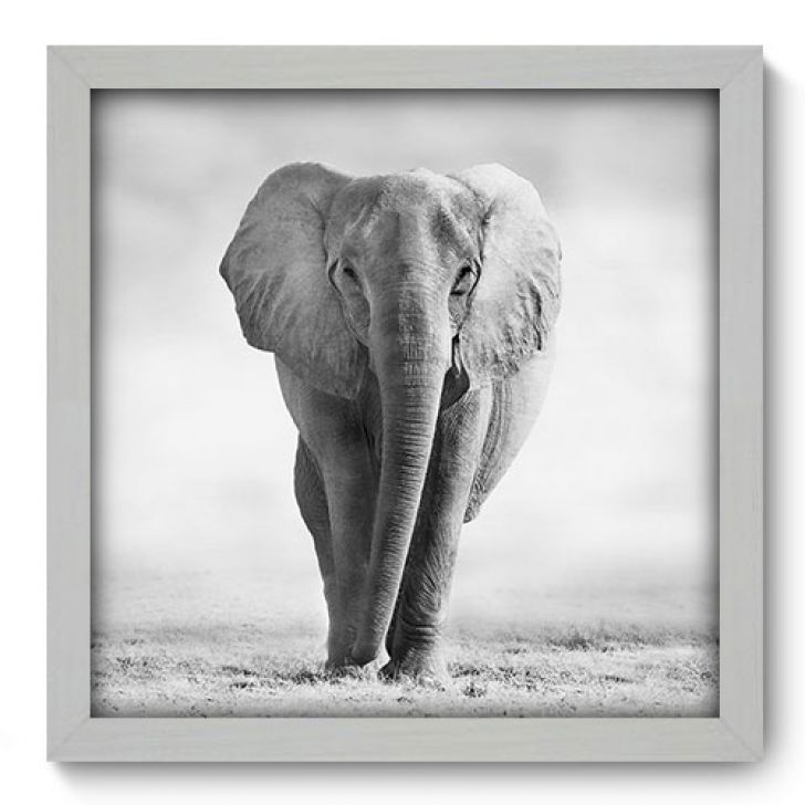 //static.mobly.com.br/p/Allodi-Quadro-Decorativo---Elefante---076qdsb-1110-357182-1-zoom.jpg