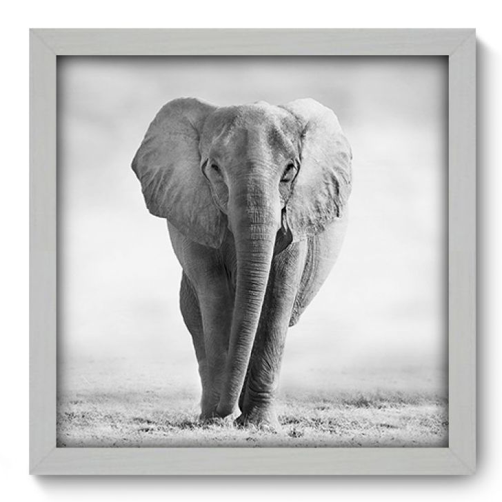 //static.mobly.com.br/p/Allodi-Quadro-Decorativo---Elefante---33cm-x-33cm---002qnsbb-8314-958395-1-zoom.jpg