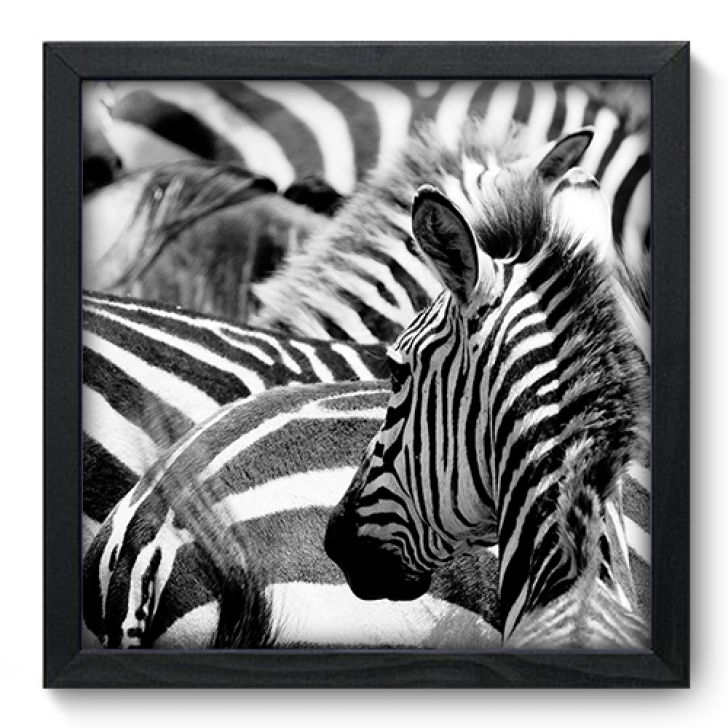 //static.mobly.com.br/p/Allodi-Quadro-Decorativo---Zebras---33cm-x-33cm---001qnsbp-7815-904295-1-zoom.jpg