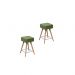 Kit 2 Bancos Banquetas Baixas Acre Verde - Adz
