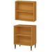 Conjunto Armário Aéreo e Balcão 100% MDF 2 Portas 70cm Luna Cinamomo/Branco